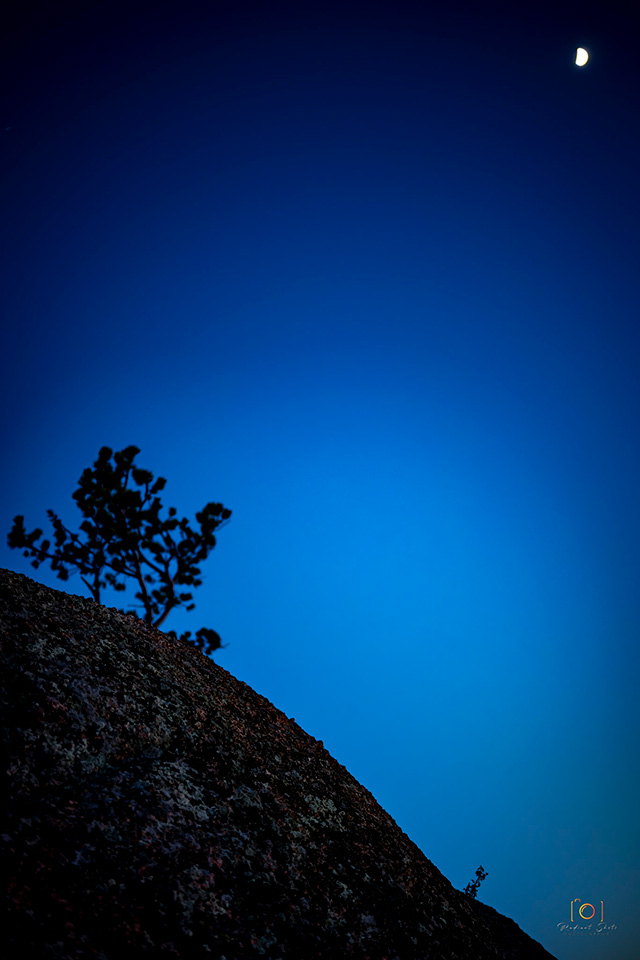 Color photograph of a photo of a rock with a lone pine tree and the moon in the background