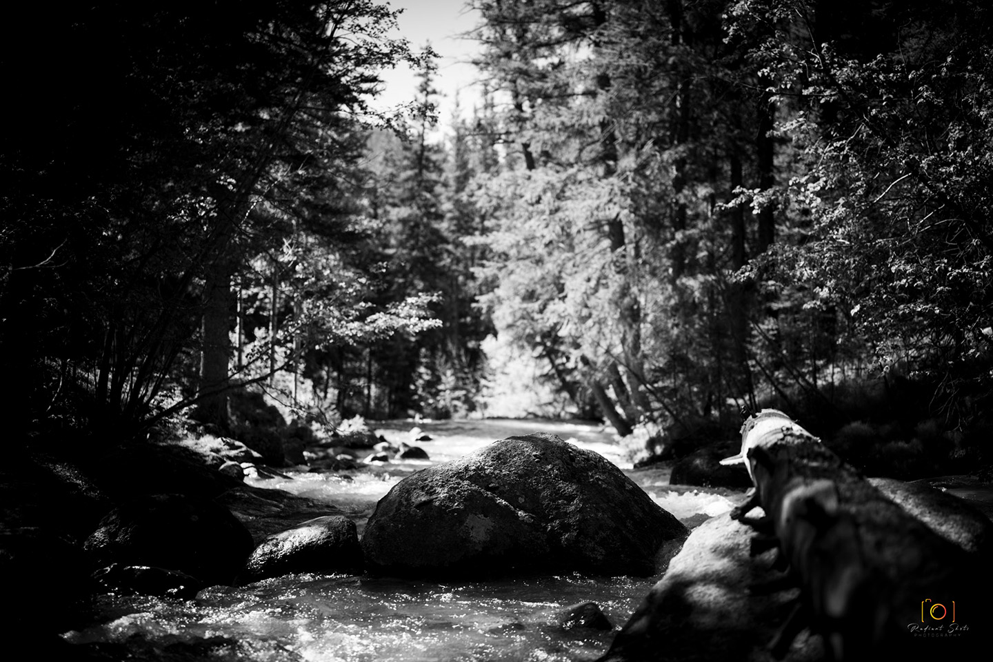 Black and White photograph of a prominent rock in a high alpine stream on Guanella Pass