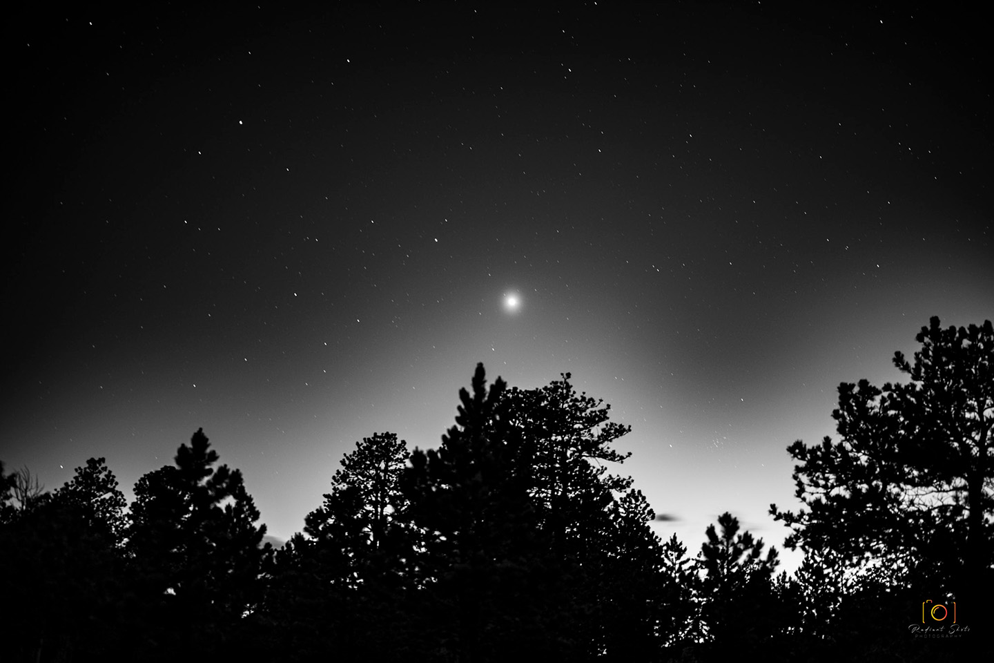 Black and White photograph of an after dark photo at Rampart Range of trees silhouetted against a night starry sky