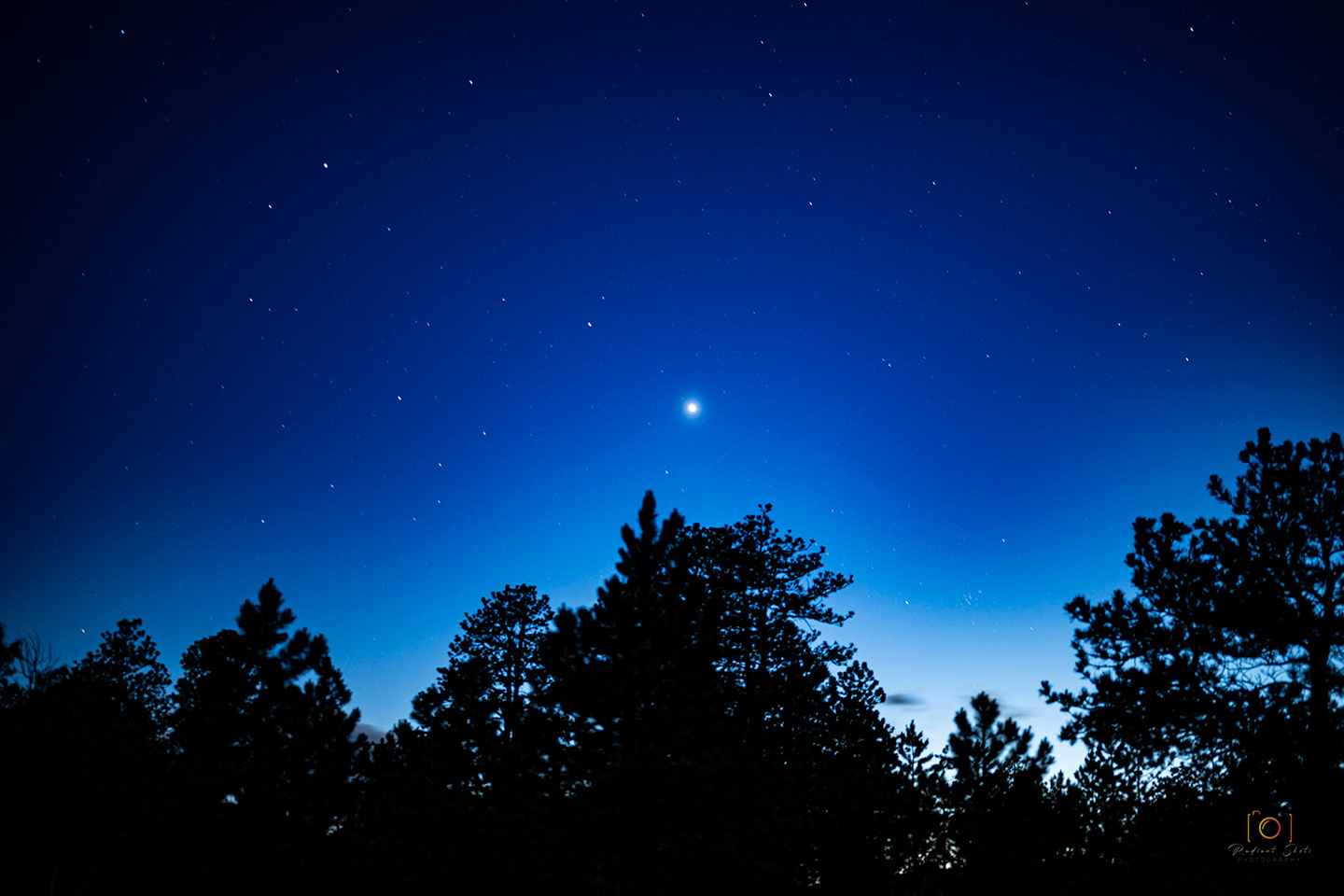 Color photograph of an after dark photo at Rampart Range of trees silhouetted against a night starry sky